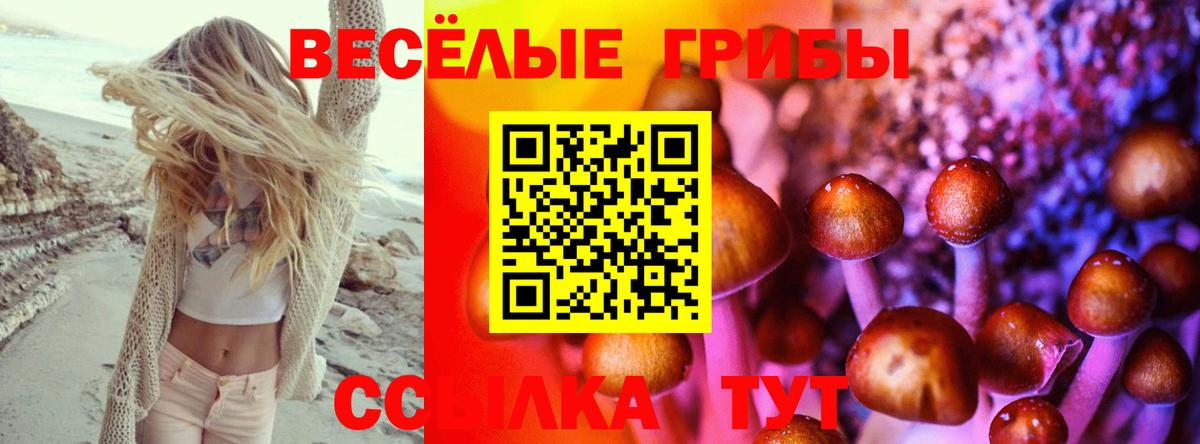 Междуреченск  Псилоцибиновые грибы мицелий  Вход с VPN  Псилоцибиновые грибы Cubensis 